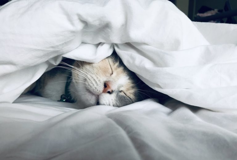 Person sleeping deeply for metabolic recovery