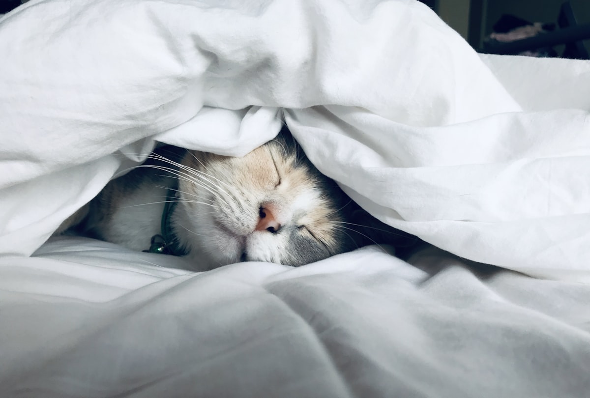 Person sleeping deeply for metabolic recovery